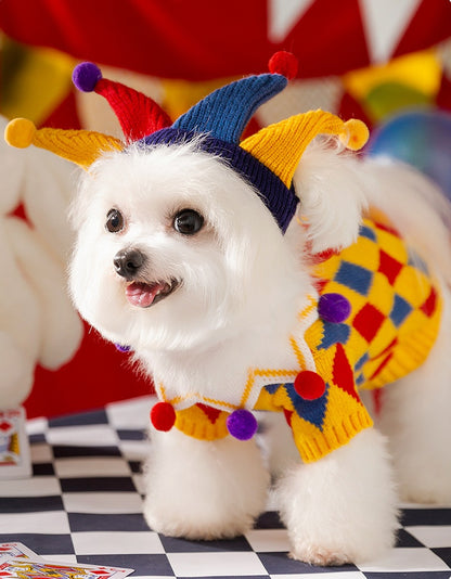 Joyful Clown Pet Coat