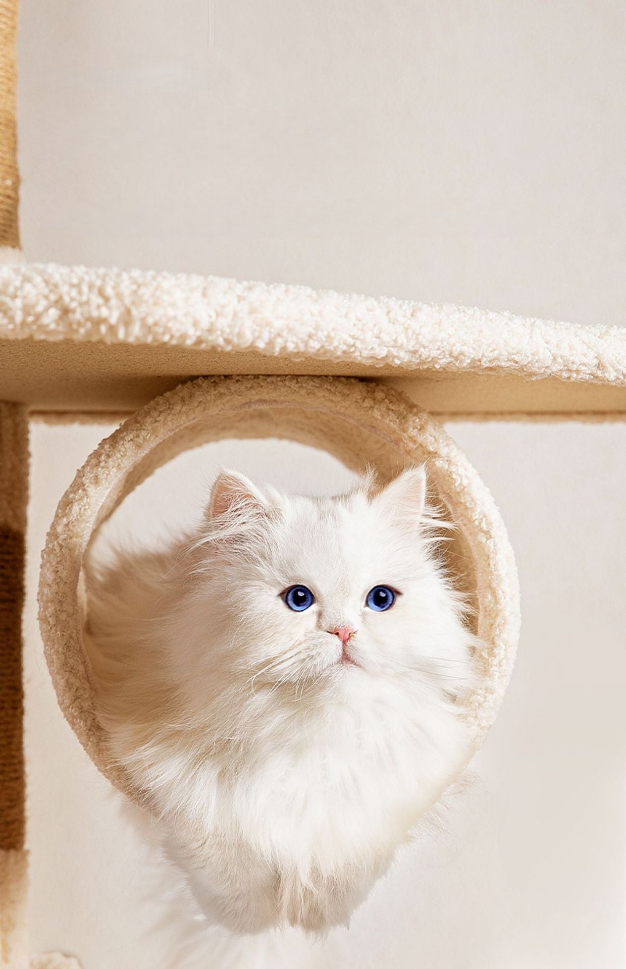 Purrfect Perch Cat Tree