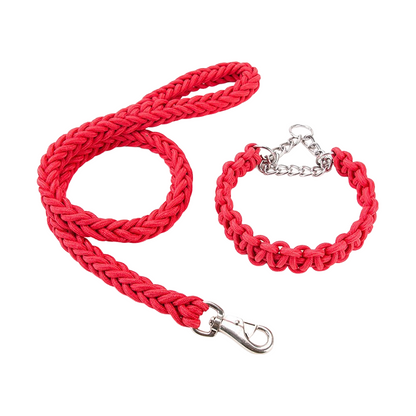 Joyride Pet Walking Leash Set