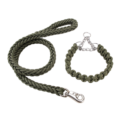 Joyride Pet Walking Leash Set