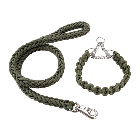 Joyride Pet Walking Leash Set