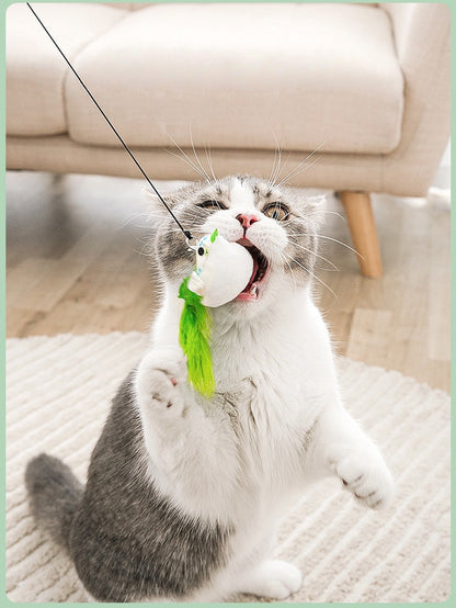 Cute Colorful Feather Cat Teaser Wand